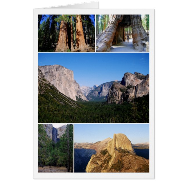 Yosemite National Park Collage Card Hälsningskort (Framsidan)