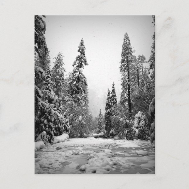 Yosemite National Park, Kalifornien Vykort (Framsida)