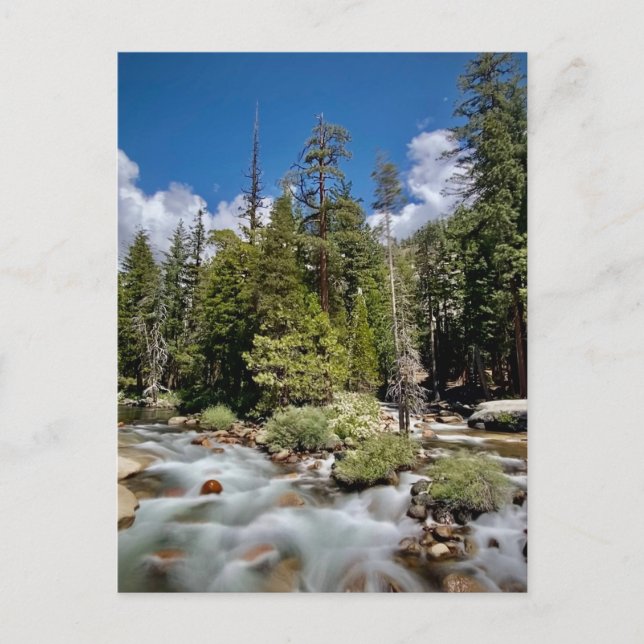 Yosemite National Park, Kalifornien Vykort (Framsida)