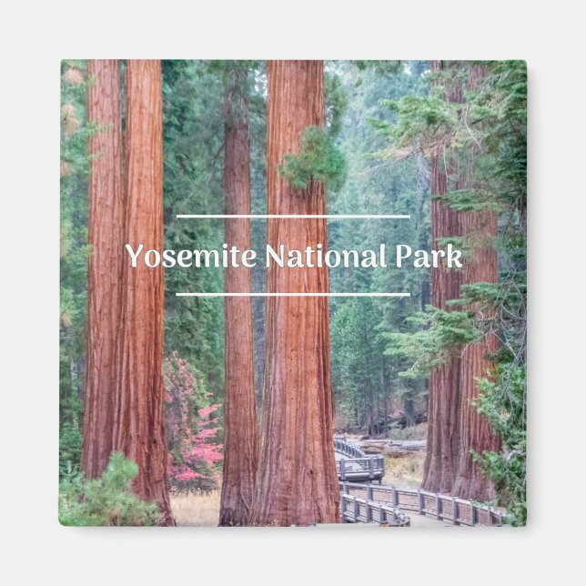 Yosemite National Park Magnet (Framsidan)