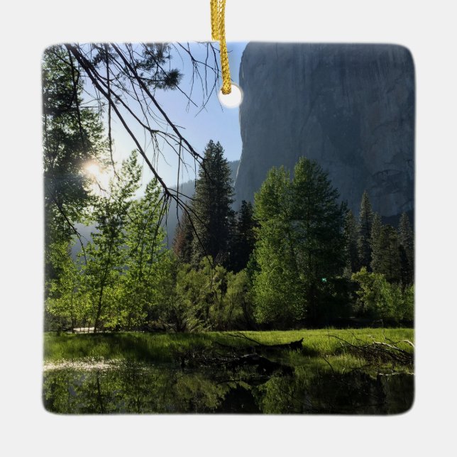 Yosemite National Park Ornament (Framsida)