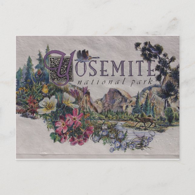 Yosemite National Park Wildlife Vykort (Framsida)