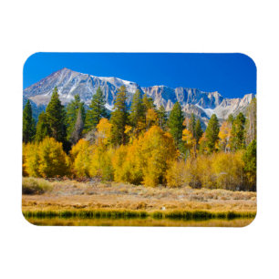 Yosemite National Parks Tioga Pass Magnet