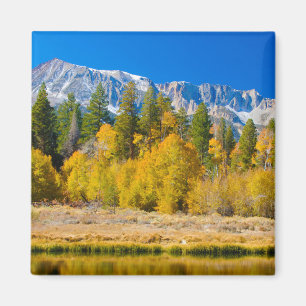 Yosemite National Parks Tioga Pass Magnet