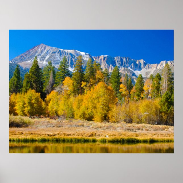 Yosemite National Park's Tioga Pass Poster (Framsidan)