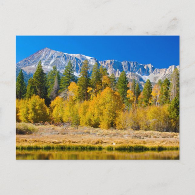 Yosemite National Park's Tioga Pass Vykort (Framsida)