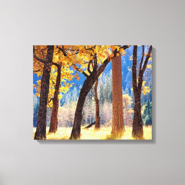 Yosemite nationalpark canvastryck (Framsida)