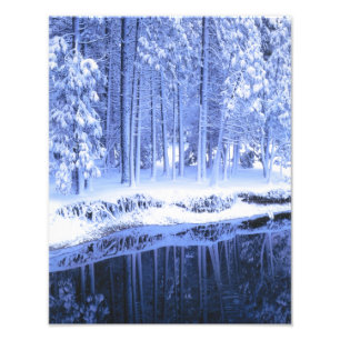 YOSEMITE NATIONALPARK, KALIFORNIEN. USA. Färsk Fototryck