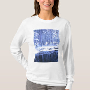 YOSEMITE NATIONALPARK, KALIFORNIEN. USA. Färsk T Shirt