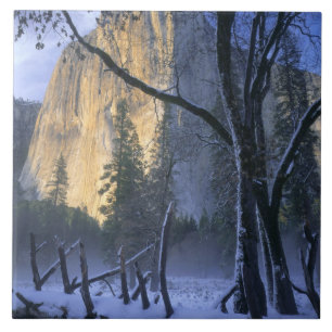 YOSEMITE NATIONALPARK, KALIFORNIEN. USA. Ljus Kakelplatta