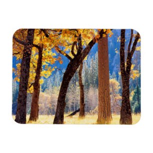 Yosemite nationalpark magnet