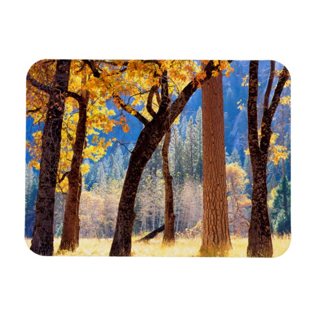 Yosemite nationalpark magnet (Horisontell)