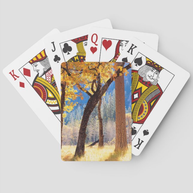 Yosemite nationalpark spel kort (Baksidan)