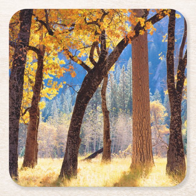Yosemite nationalpark underlägg papper kvadrat (Framsidan)