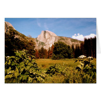 Yosemite nationalparkens medekorkort hälsningskort
