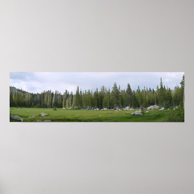 Yosemite Panorama Poster (Framsidan)