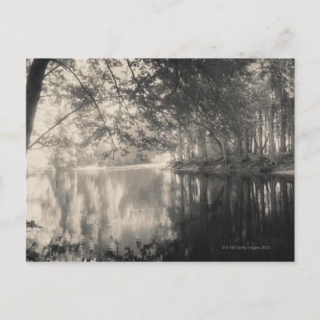 Yosemite Park, Wyoming Vykort (Framsida)