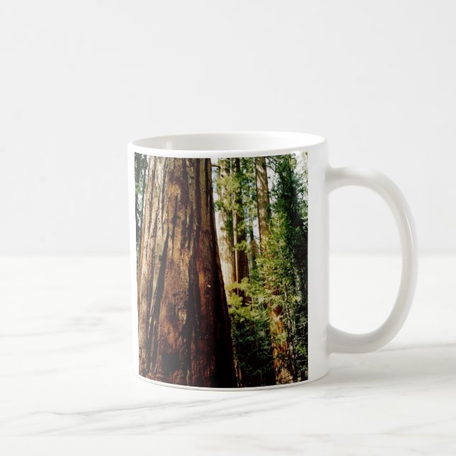 Yosemite redwoodträd kaffemugg (Höger)