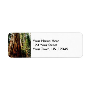 Yosemite redwoodträd returadress etikett