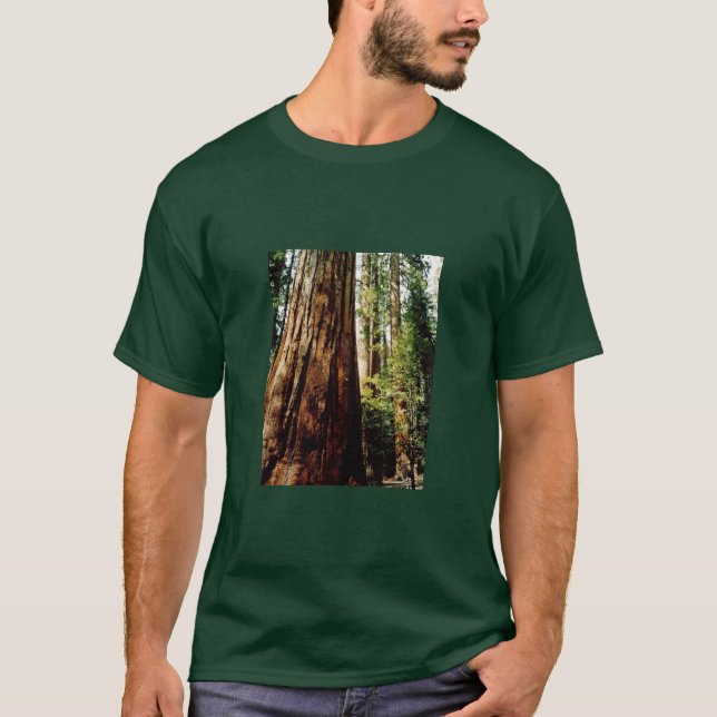 Yosemite redwoodträd tee (Framsida)