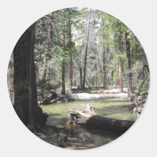 Yosemite Skogen Runt Klistermärke