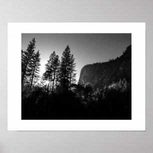 Yosemite Sunlit Träd Black and White Photography Poster