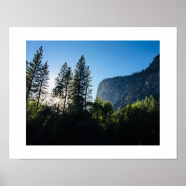 Yosemite Sunlit Träd Färg fotografi Poster