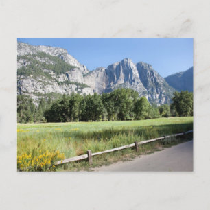 Yosemite Valley Meadow, El Capitan, Staycation Vykort