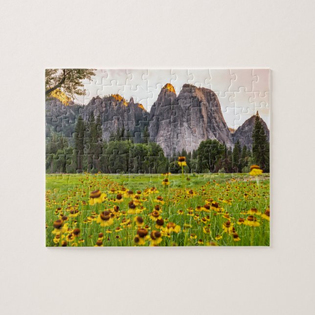 Yosemite Valley WildblomPuzzle Pussel (Horisontell)