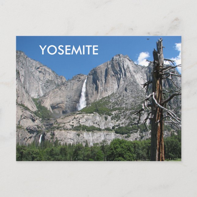 Yosemite-vykort! Vykort (Framsida)