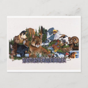Yosemite Wildlife Vykort