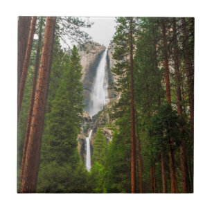 Yosemitefallen genom skogen kakelplatta