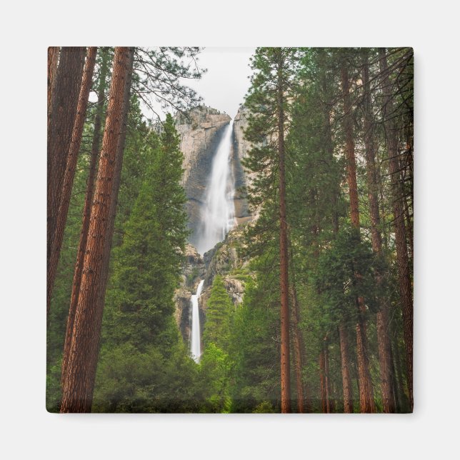 Yosemitefallen genom skogen magnet (Framsidan)