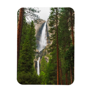 Yosemitefallen genom skogen magnet