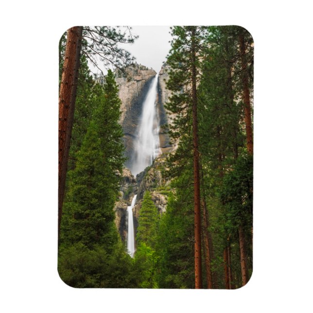 Yosemitefallen genom skogen magnet (Vertikal)