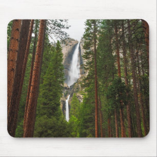 Yosemitefallen genom skogen musmatta