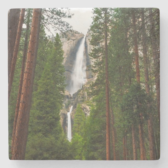 Yosemitefallen genom skogen stenunderlägg (Framsidan)