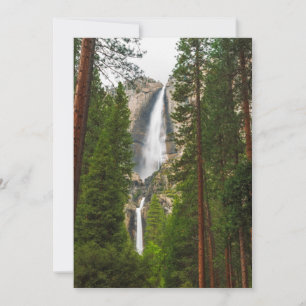 Yosemitefallen genom skogen tack kort