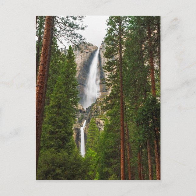 Yosemitefallen genom skogen vykort (Framsida)