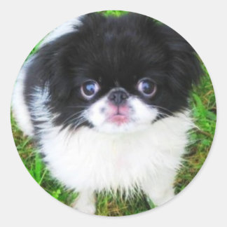 Yoshi Puppy Sticker Runt Klistermärke