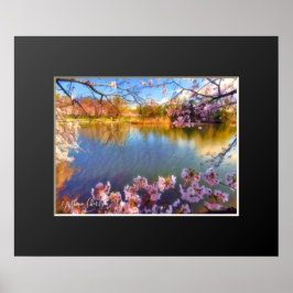 Yoshino Cherry ポスター Poster