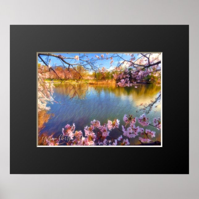 Yoshino Cherry ポスター Poster (Framsidan)