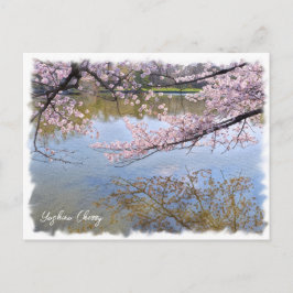 Yoshino Cherry ポストカード Vykort