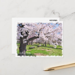 Yoshino Cherry ポストカード Vykort