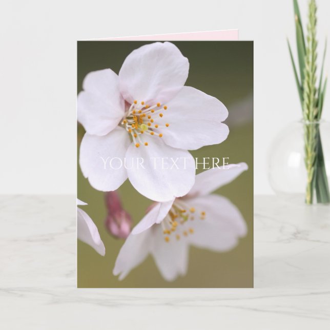 Yoshino Cherry:Fästa kort (Framsida)