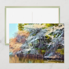 Yoshino Cherry: Flat Card Kort