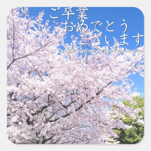 Yoshino Cherry Fyrkantigt Klistermärke (Framsida)