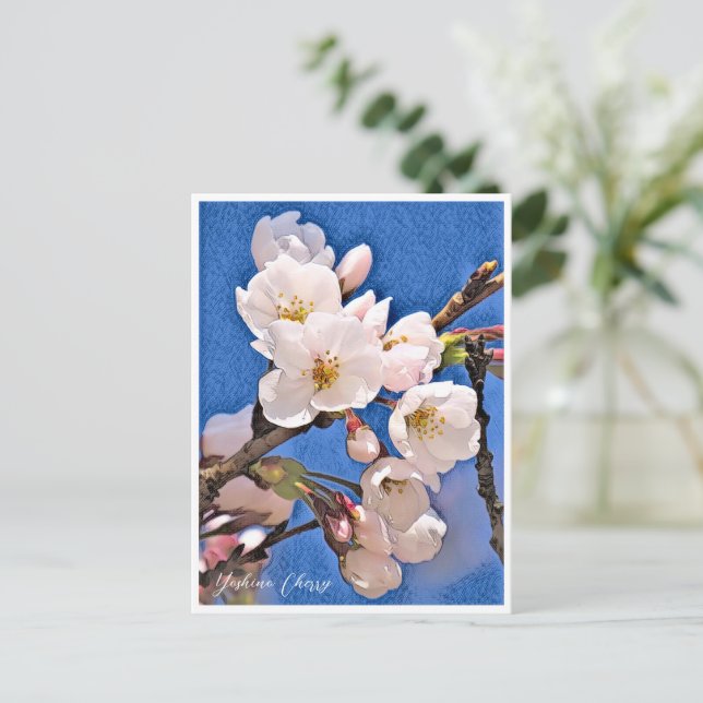 Yoshino Cherry Vykort (Stående Fram)