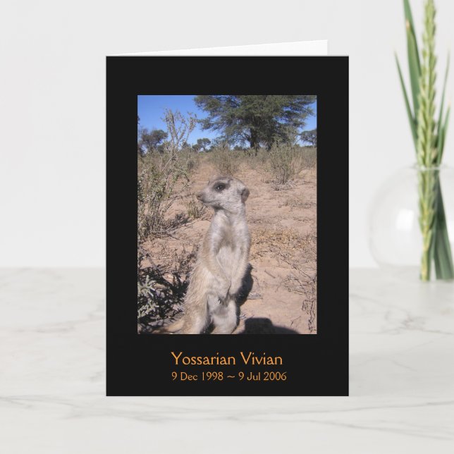 Yossarian - legendkort kort (Framsida)