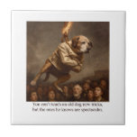 You can’t teach an old dog new tricks kakelplatta<br><div class="desc">Funny Cartoon</div>